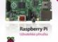 Raspberry Pi